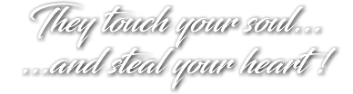 They touch your soul... ...and steal your heart !