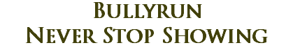 Bullyrun Never Stop Showing